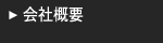 ��ЊT�v
