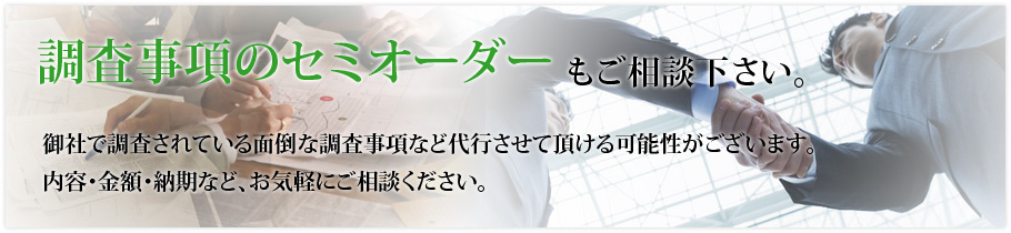 調査事項のセミオーダー もご相談下さい。